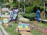 Women planting bulbs in Bourgas - Bulgaria