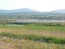 Protected Marshland, on the outskirts of Bourgas - Black sea Coast, Bulgaria